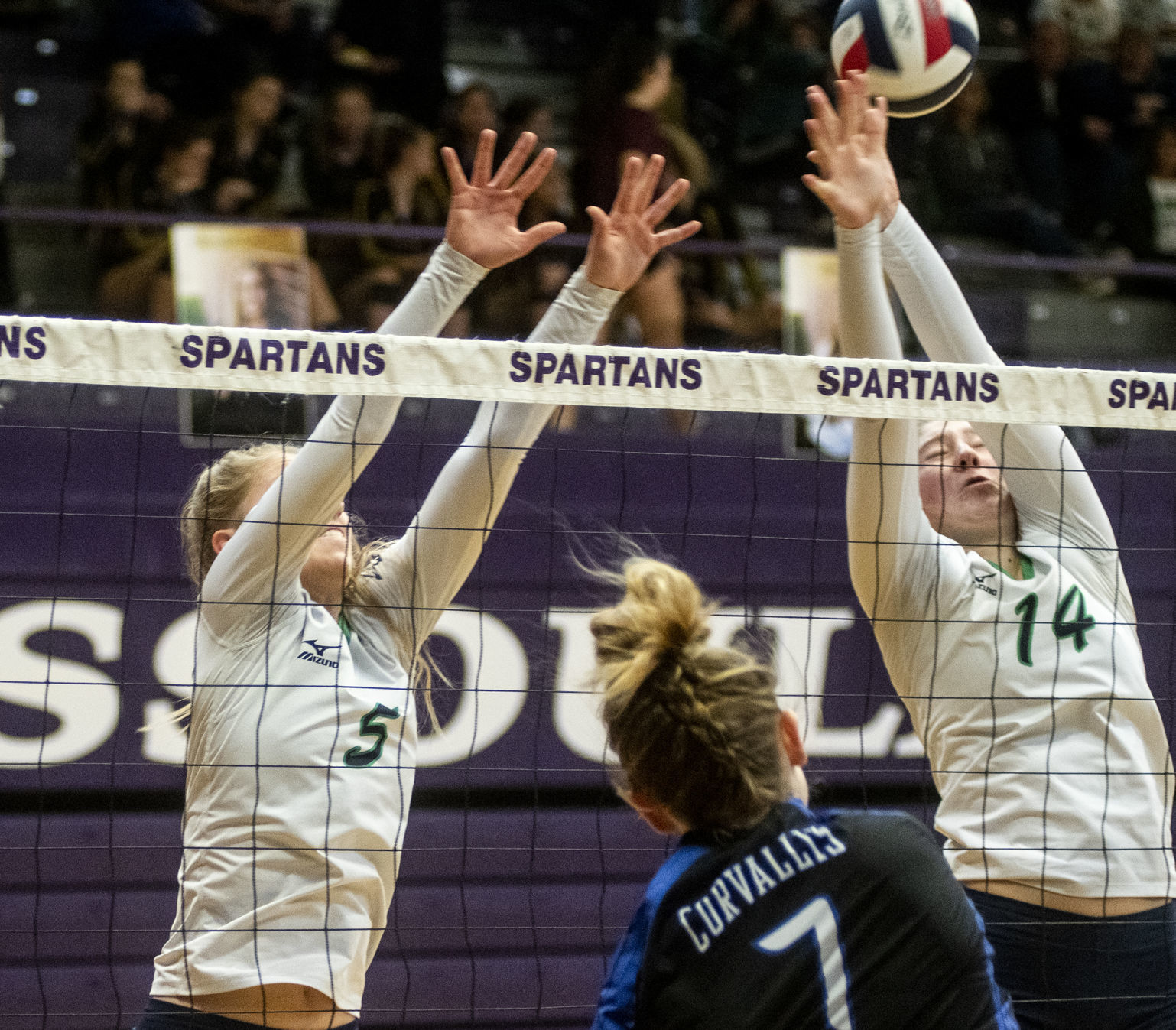 Missoula County Public Schools Invitational 11.JPG